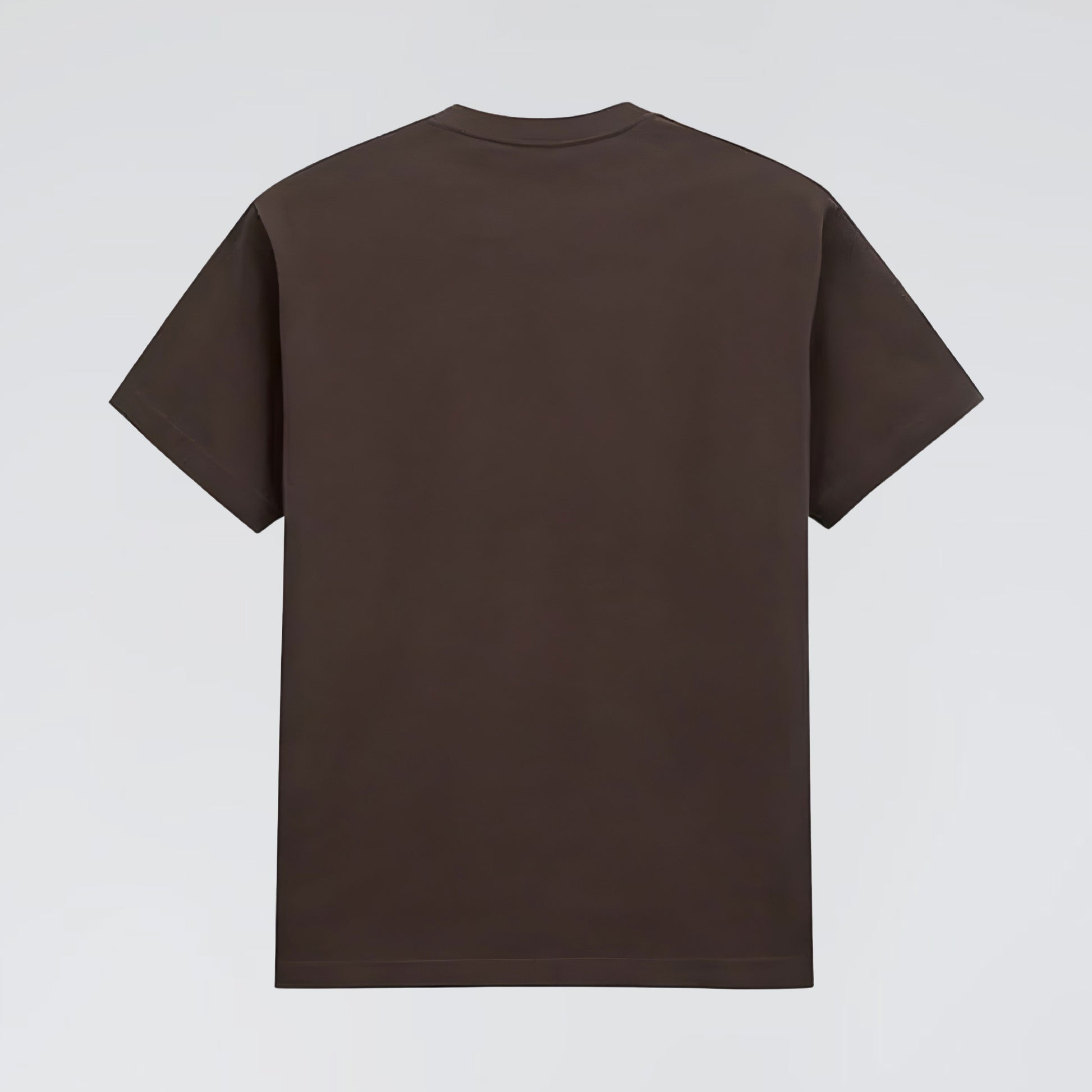 Jump The Dark Raise Hell heavy graphic tee brown